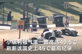 热浪来袭！美国加拿大多地打破最高气温纪录，民众扎堆消暑图片
