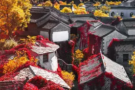 倒计时3天！古北水镇红叶祭最全攻略来袭！免费开放~图片