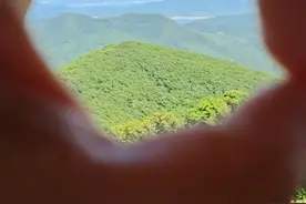 “君要臣死，臣不得不死。”知道这是为什么吗？图片