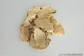 国医大师周仲瑛，治疗膀胱癌经验方图片