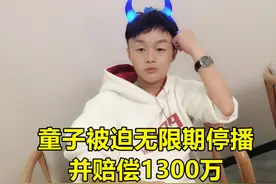 同被起诉，梦泪等AG老将因菲菲丝毫不慌，童子赔巨款并无限期停播图片