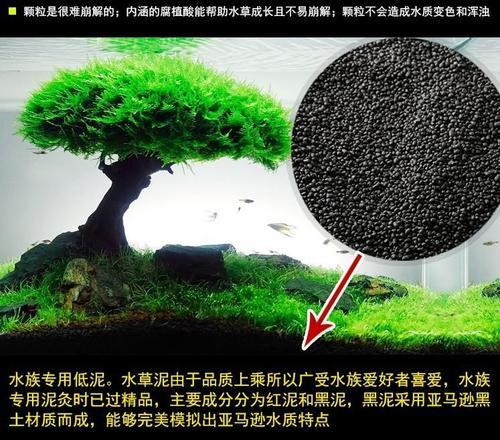 养鱼避免不了铺底沙，不同鱼搭配不同底沙，如何选择变得尤为重要