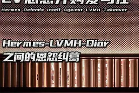 LV恶意并购爱马仕，LVMH与迪奥的恩怨纠葛，爱马仕的绝地反击图片