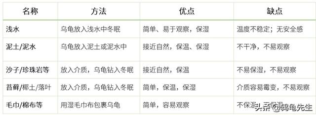 不知道乌龟如何冬眠？鸫龟先生干货分享乌龟冬眠方法全套解决方案