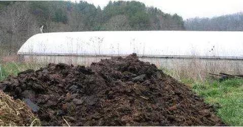 调水大咖谈肥水（一）：如何选择肥水产品？