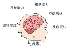 男女思维的差异在哪里？深入了解各自的“脑回路”，成为沟通高手图片