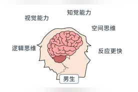 男女思维的差异在哪里？深入了解各自的“脑回路”，成为沟通高手图片