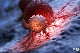 重新激活保护性p53，抗癌新靶点eIF4A3登场 | Science子刊图片