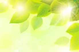 不畏疫情遮望眼 风物长宜放眼量图片