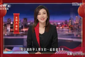 央视4套当家美女主播李红，如果了解她的成名经历，你会更喜欢她图片