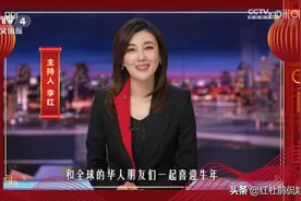 央视4套当家美女主播李红，如果了解她的成名经历，你会更喜欢她图片