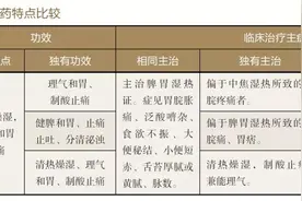 治疗脾胃湿热致胃疡（胃糜）的中成药图片