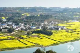 述职述责述廉，东兴区年末履职"迎考"快来了解一下图片