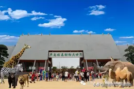 好消息！平南雄森动物大世界10月1日起恢复开园啦！图片