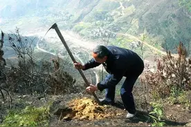 民工意外挖出罕见金币，价值数百万一枚，倒卖后只换了一条毛巾图片