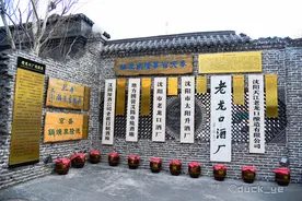359年原址原井原窖池原工艺连续酿酒，来沈阳就要喝老龙口，香图片