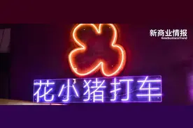 「花小猪」是个流量生意图片