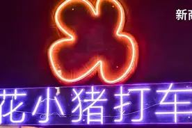 「花小猪」是个流量生意图片