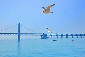 世界“最长”的4座大桥，全长165千米，最快33个小时走完图片