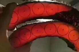 万物可盘，但不是万物可杀！揭秘用象皮做手串的残忍过程！图片