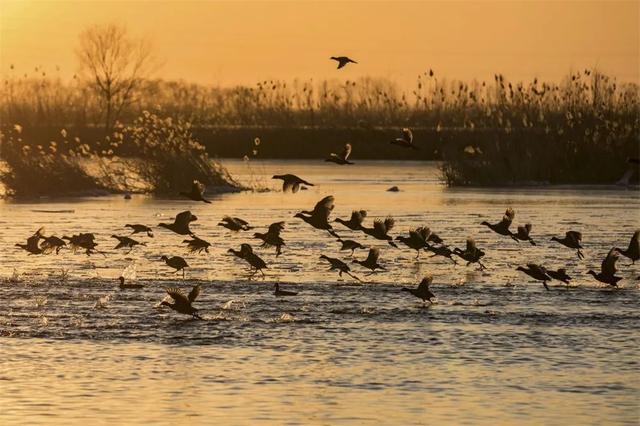 雄安新区:建设新时代,“影”领新风潮 | 摄影拉力赛图赏