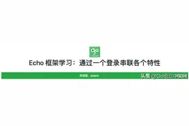 Go 语言 Web 框架 Echo 系列：基础篇—通过一个例子串联各特性图片