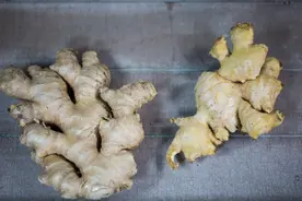 姜种怎么选？一起来看看吧图片