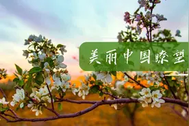 顽强拼搏不懈奋斗 创造新的伟大成就图片