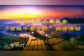 “百城千县万村”调研行 | 庵埠霞露村：强治理 优环境 兴产业图片
