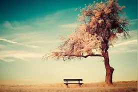 散文：往事如风图片