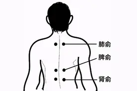 冬病夏治 | 耳鼻喉科三伏贴贴敷指南图片