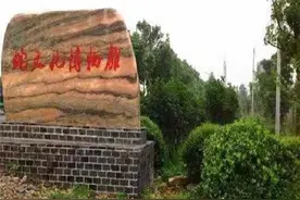 世界第一“蛇村”，每个人平均养上千条蛇，难道村民不怕被咬吗？图片