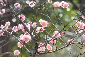 花花世界，旅游季节最好去处图片