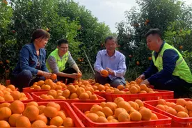 我知道你是谁图片