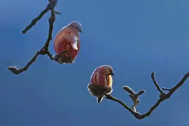 你看我可爱吗？图片