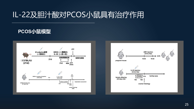 庞艳莉：22分钟详解肠道菌群与代谢疾病