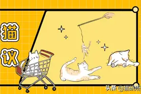 一张图解锁9个让猫咪健康长寿的习惯图片