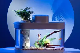 359元！小米有品上架智能鱼缸Pro：自动定时定量喂食图片