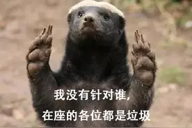 大连蛇岛上有20000条毒蛇，放2只蜜獾上去，结果会怎样？图片