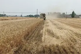 说说头条昵称图片