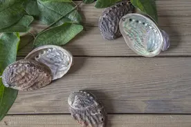 《本草纲目》收载的瘵疰主治药之二图片