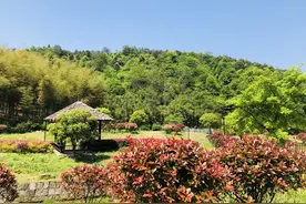 “长亭外，古道边”——日铸岭古道游览体验之旅图片