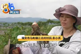 爱跳舞的小英夫妻，直播间里帮“带货”图片