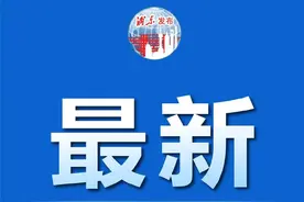 新辟1条/调整12条，浦东第五批公交线路调整计划今起公示图片