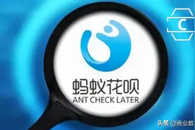 不想接入征信的支付，不是好“花呗”图片
