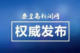 【决胜全面小康 决战脱贫攻坚】站在新起点 迈向新生活 青龙龙潭村易地搬迁“搬”出致富路图片
