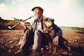 宁夏“狗食人”案：主人杀人恶犬吃肉，被处决前还参演过电影图片