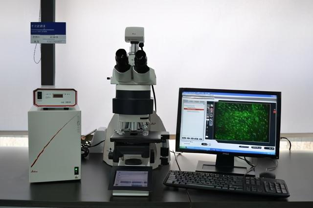 从生物教学谈荧光蛋白和荧光标记法