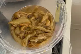 医院～日记（7）图片