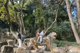 杭州动物园里有2只“动物”，70年代就火遍全杭州图片